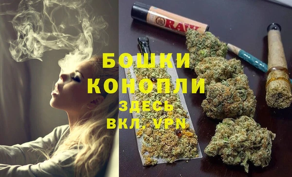 молекула духа Киренск