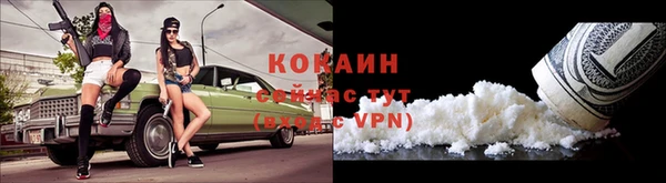 PSILOCYBIN Карталы