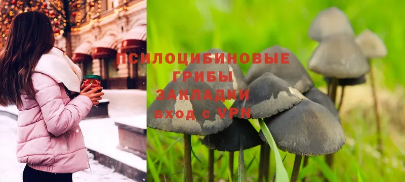 Галлюциногенные грибы Magic Shrooms Олонец